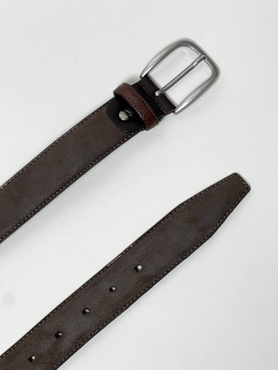 CINTURA TORTORA